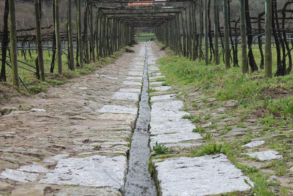 Quinta da Eira do Sol Guimarães Exterior foto