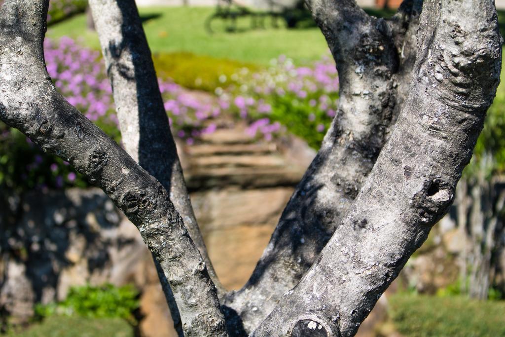 Quinta da Eira do Sol Guimarães Exterior foto